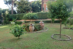 CIMG8016