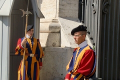 CIMG8236