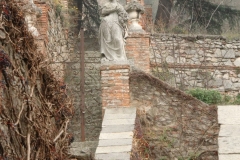 CIMG8174