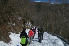 2015_03010282-r