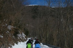 2015_03010283