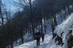 2015_03010287