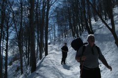 2015_03010289_r