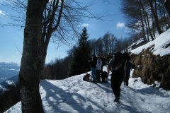 2015_03010290