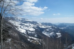 2015_03010294