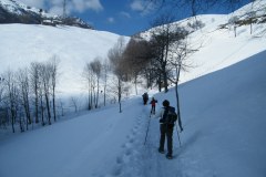 2015_03010303