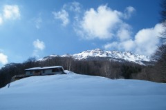 2015_03010317