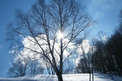 2015_03010319