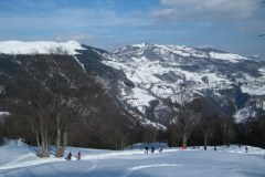 2015_03010328
