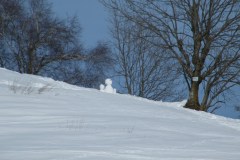 2015_03010336