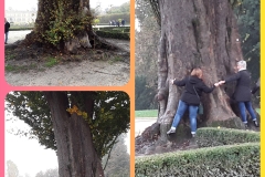 CollageMaker_20190204_175915356