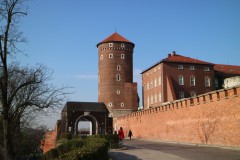 20190405080159_IMG_1270