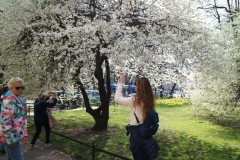 20190405131025_IMG_1350