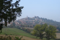DSC05810
