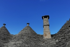IMG_20211008_160647