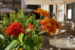 IMG_20211009_103434