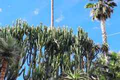 IMG-20220922-WA0017