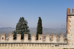 IMG_20220327_104555