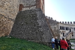 IMG_20220327_104742