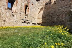 IMG_20220327_115651
