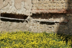 IMG_20220327_115705