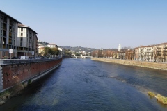 IMG_20220327_165202