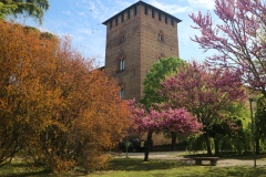 IMG_20230415_101351