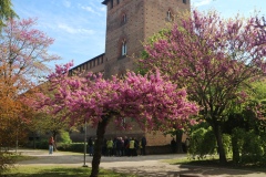 IMG_20230415_101503