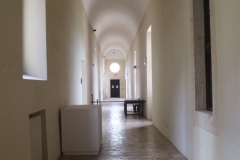 IMG_6481-Copia