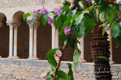 IMG_20230921_105034-Copia-Copia