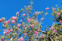 IMG_20240406_150254