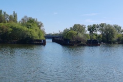 IMG_20240406_161940