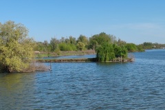 IMG_20240406_162753