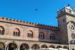 IMG_20240406_171648
