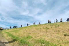 IMG_20240406_104230