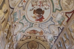 IMG_20240406_113938