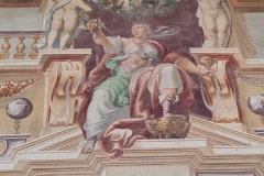 IMG_20240406_124421