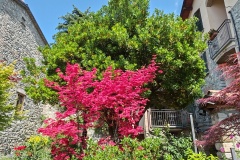 IMG_20250607_110829