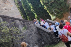 IMG_20250607_111850