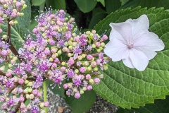 IMG_20250607_154457