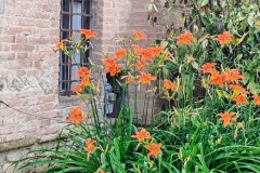 IMG_20250607_155915
