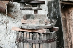IMG_20250607_161234