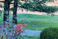 IMG_20251213_121850