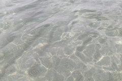 IMG_20250927_114250