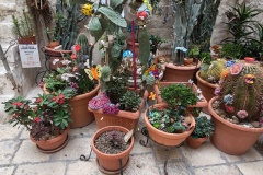 IMG_20250923_122812