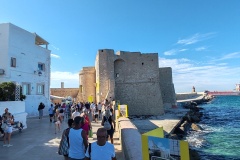 IMG_20250923_155558
