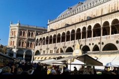 Screenshot_20260131_234414