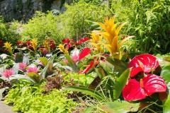 IMG_20260607_140536