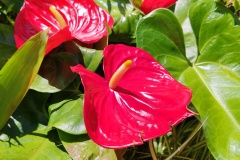 IMG_20260607_140542