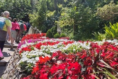 IMG_20260607_140952
